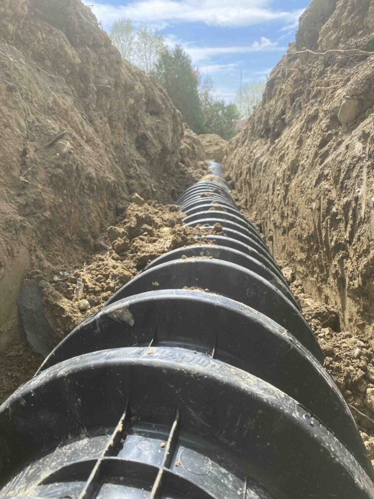 Septics 11 IMG 9031 scaled