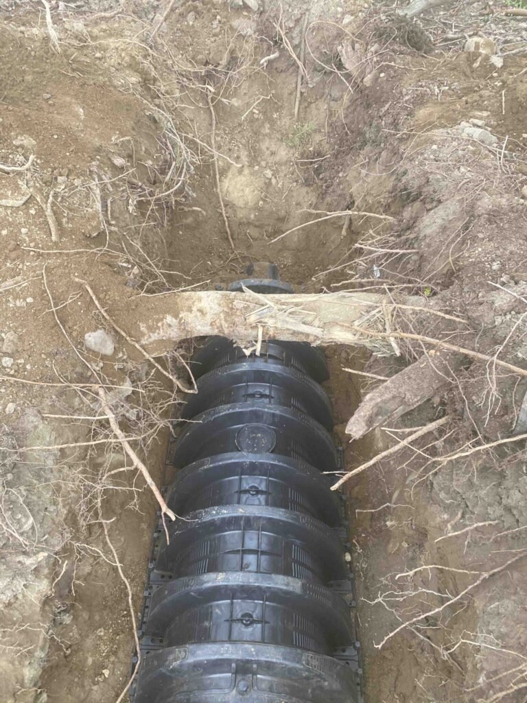 Septics 12 IMG 9039 scaled