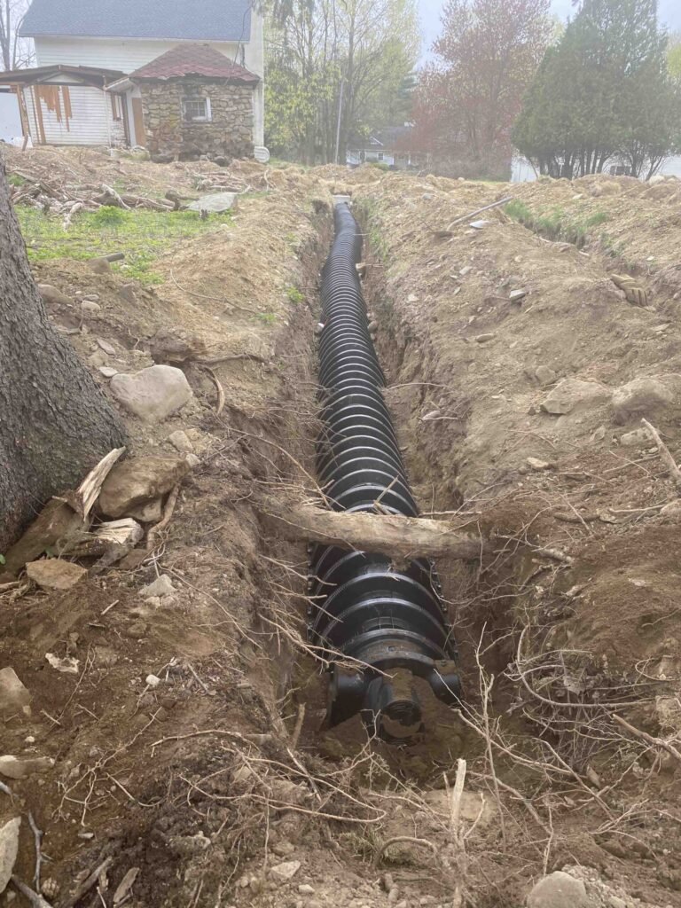 Septics 13 IMG 9040 scaled