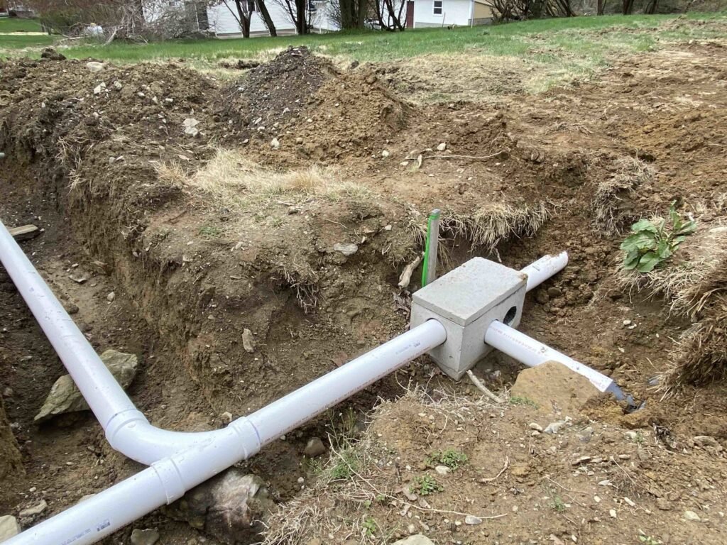 Septics 16 IMG 9081 scaled