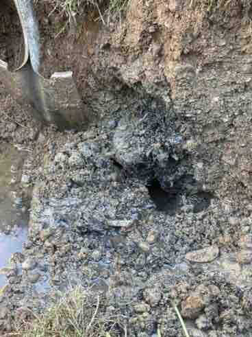 Septic Broken Pipe