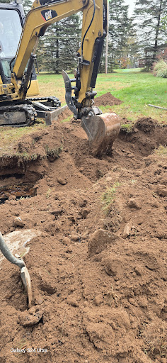 Photo from customer review